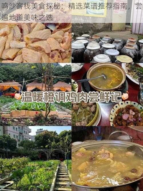 鸣沙客栈美食探秘：精选菜谱推荐指南，尝遍地道美味之选