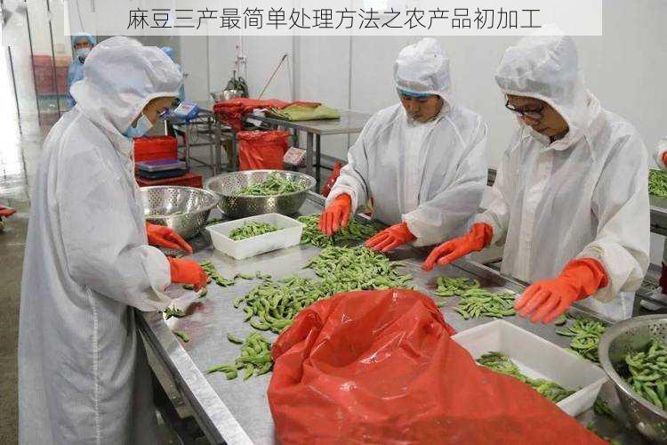 麻豆三产最简单处理方法之农产品初加工