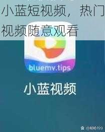 小蓝短视频，热门视频随意观看