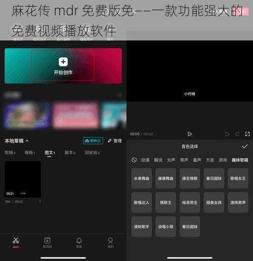 麻花传 mdr 免费版免——一款功能强大的免费视频播放软件