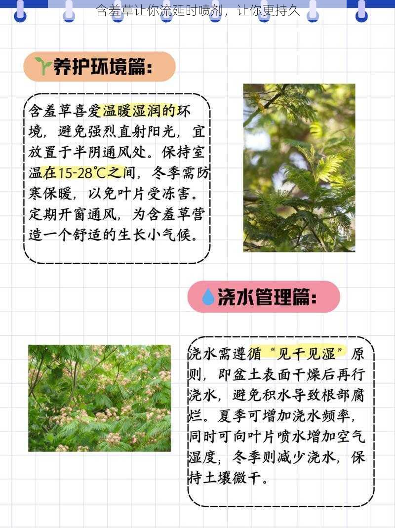 含羞草让你流延时喷剂，让你更持久