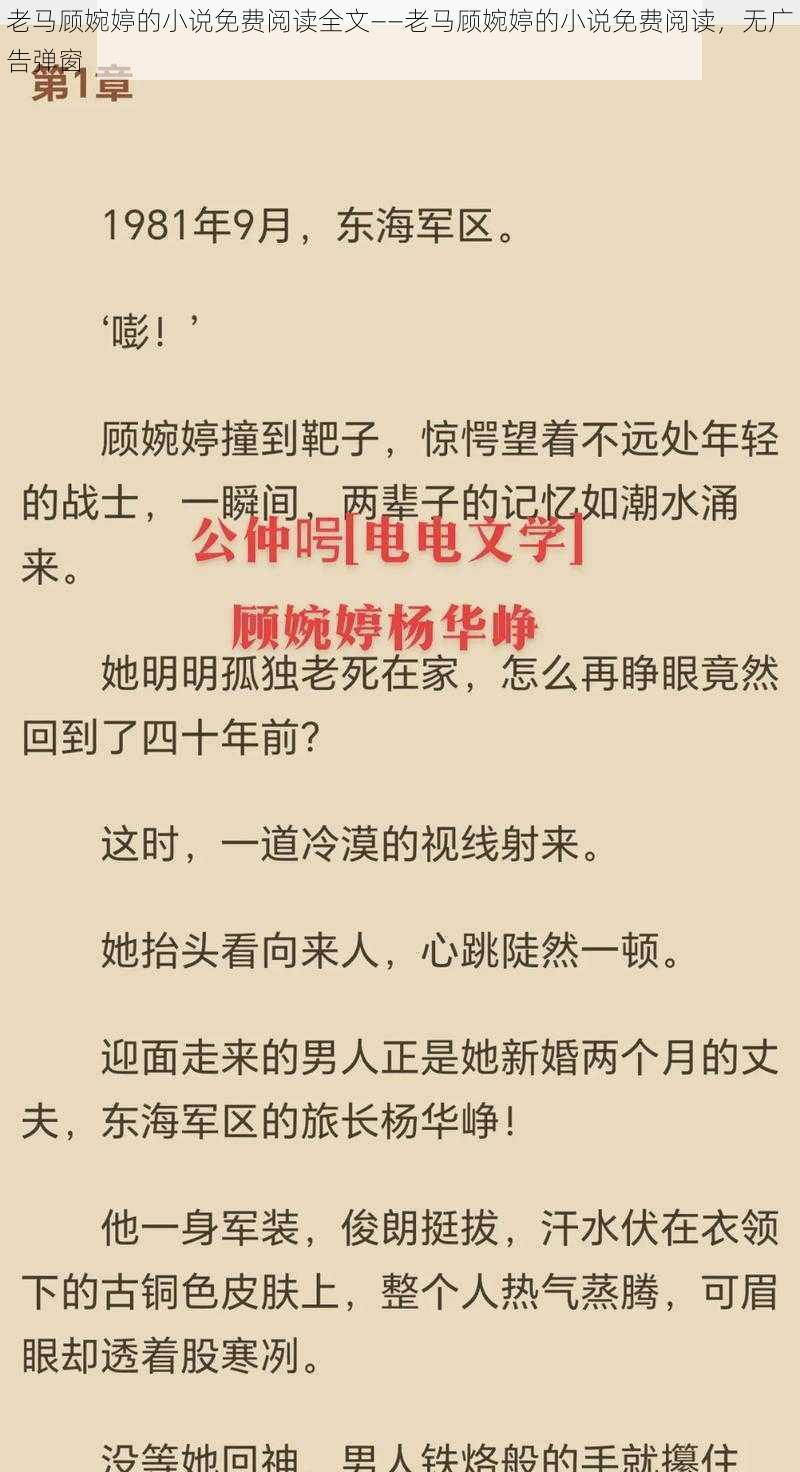 老马顾婉婷的小说免费阅读全文——老马顾婉婷的小说免费阅读，无广告弹窗