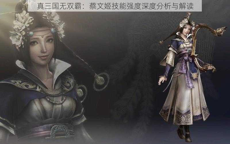 真三国无双霸：蔡文姬技能强度深度分析与解读