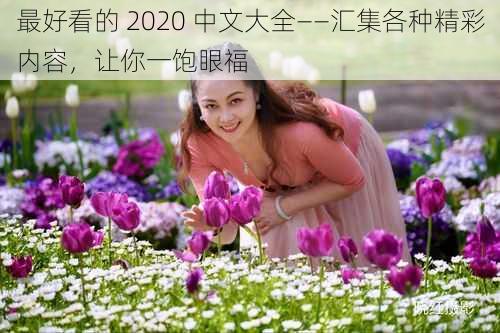 最好看的 2020 中文大全——汇集各种精彩内容，让你一饱眼福