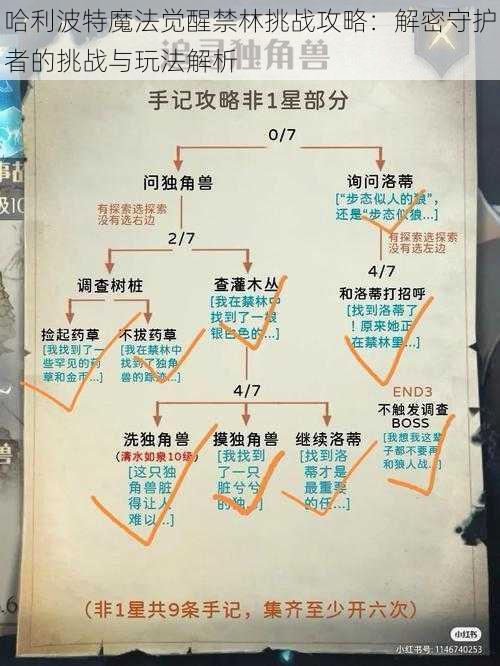 哈利波特魔法觉醒禁林挑战攻略：解密守护者的挑战与玩法解析