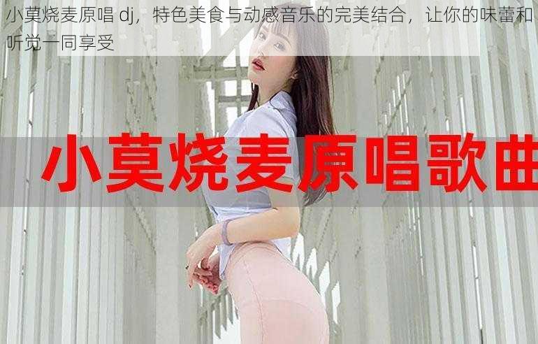 小莫烧麦原唱 dj，特色美食与动感音乐的完美结合，让你的味蕾和听觉一同享受