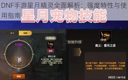 DNF手游星月精灵全面解析：强度特性与使用指南