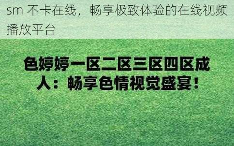 sm 不卡在线，畅享极致体验的在线视频播放平台