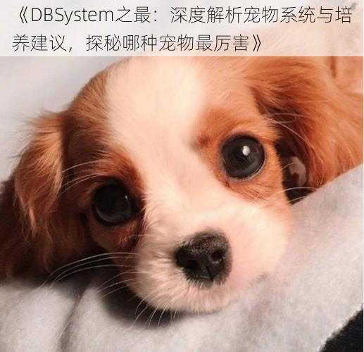 《DBSystem之最：深度解析宠物系统与培养建议，探秘哪种宠物最厉害》