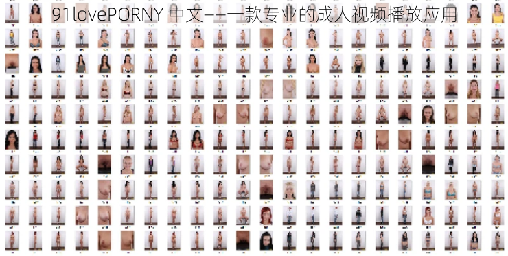 91lovePORNY 中文——一款专业的成人视频播放应用