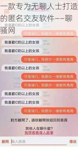 一款专为无聊人士打造的匿名交友软件——聊骚网