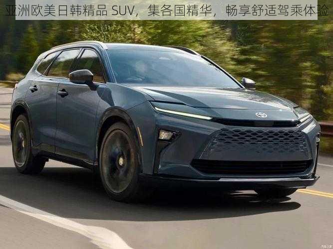 亚洲欧美日韩精品 SUV，集各国精华，畅享舒适驾乘体验