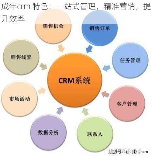 成年crm 特色：一站式管理，精准营销，提升效率