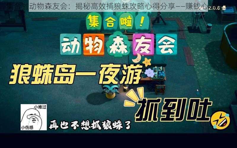 集合啦动物森友会：揭秘高效捕狼蛛攻略心得分享——赚钱心得篇章