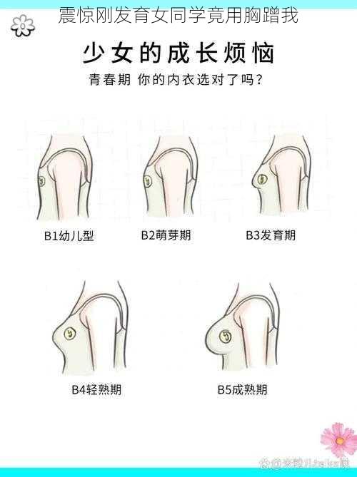 震惊刚发育女同学竟用胸蹭我