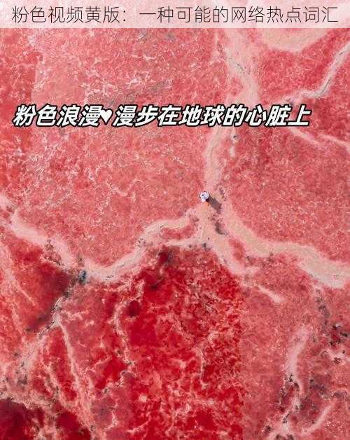 粉色视频黄版：一种可能的网络热点词汇