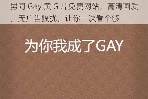 男同 Gay 黄 G 片免费网站，高清画质，无广告骚扰，让你一次看个够