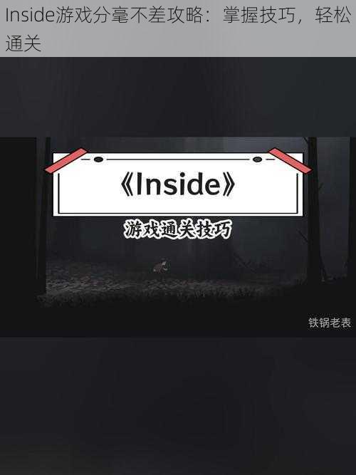 Inside游戏分毫不差攻略：掌握技巧，轻松通关