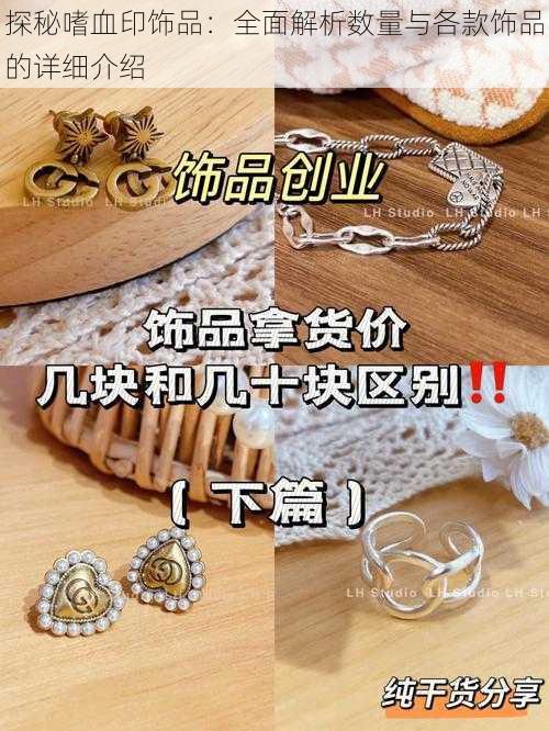 探秘嗜血印饰品：全面解析数量与各款饰品的详细介绍