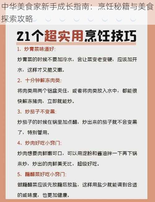 中华美食家新手成长指南：烹饪秘籍与美食探索攻略