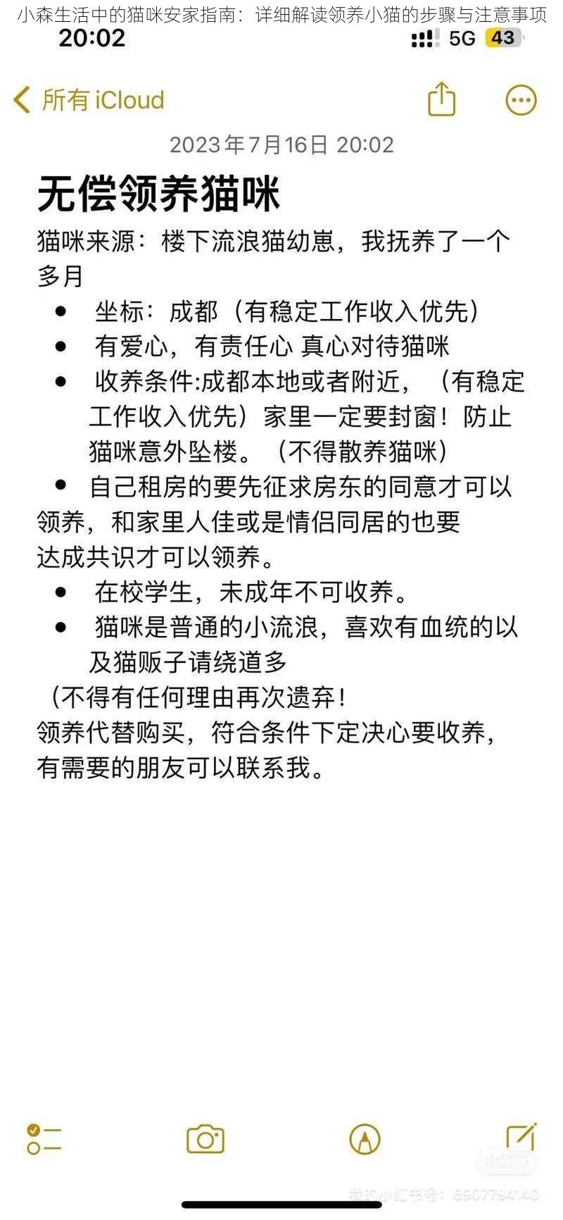 小森生活中的猫咪安家指南：详细解读领养小猫的步骤与注意事项