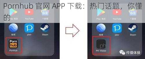 Pornhub 官网 APP 下载：热门话题，你懂的