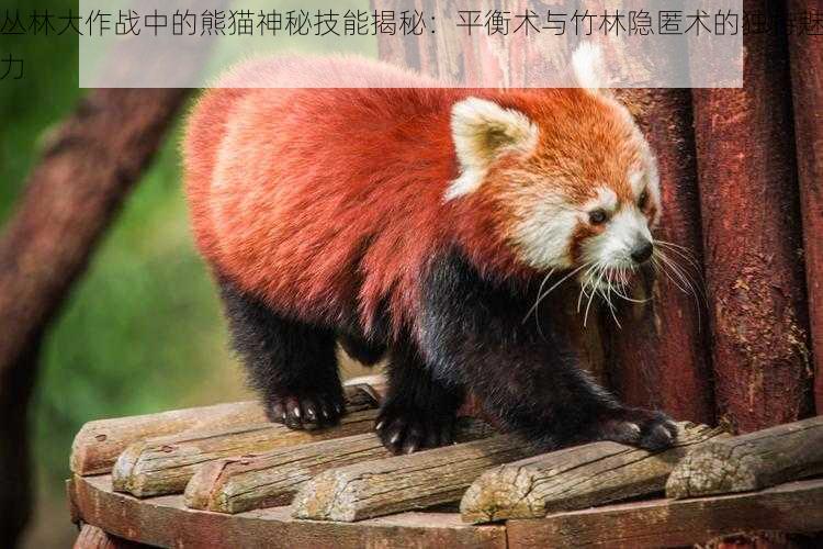 丛林大作战中的熊猫神秘技能揭秘：平衡术与竹林隐匿术的独特魅力