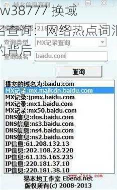 yw38777 换域名查询：网络热点词汇的背后