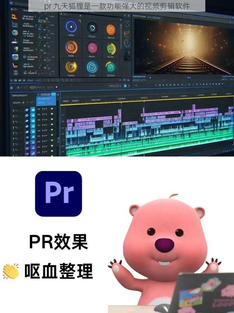 pr 九天狐狸是一款功能强大的视频剪辑软件