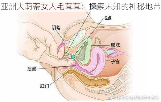 亚洲大荫蒂女人毛茸茸：探索未知的神秘地带