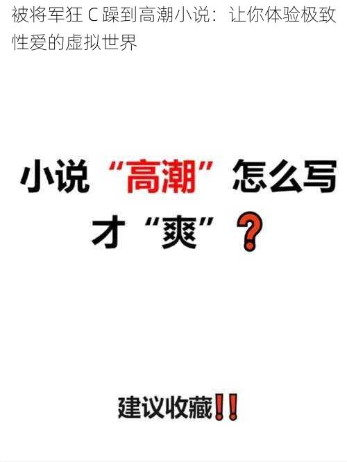 被将军狂 C 躁到高潮小说：让你体验极致性爱的虚拟世界