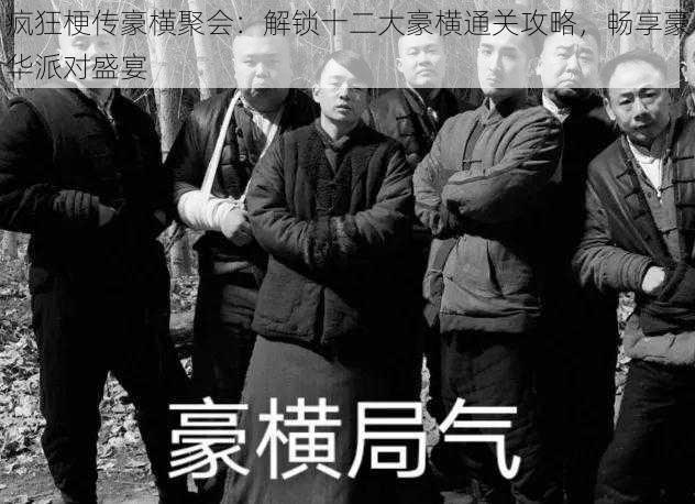 疯狂梗传豪横聚会：解锁十二大豪横通关攻略，畅享豪华派对盛宴