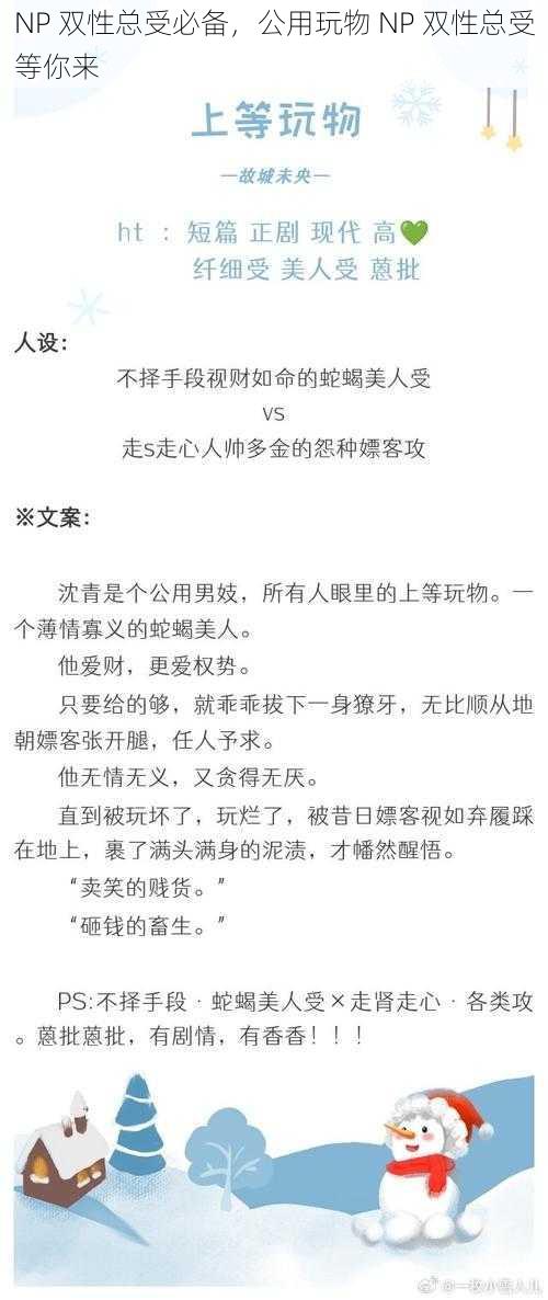 NP 双性总受必备，公用玩物 NP 双性总受等你来