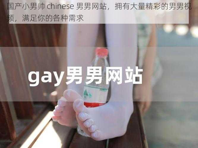 国产小男帅 chinese 男男网站，拥有大量精彩的男男视频，满足你的各种需求