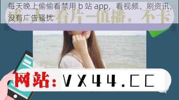 每天晚上偷偷看禁用 b 站 app，看视频、刷资讯，没有广告骚扰