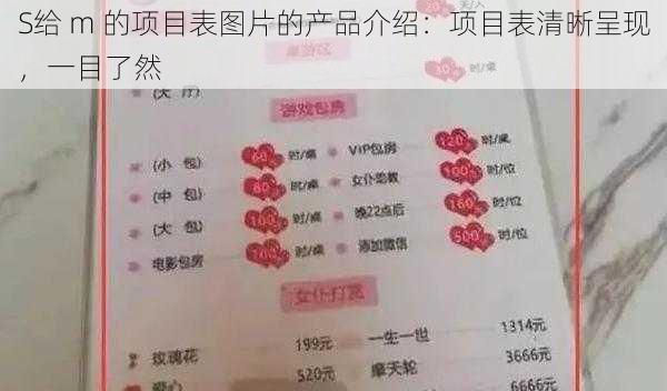 S给 m 的项目表图片的产品介绍：项目表清晰呈现，一目了然