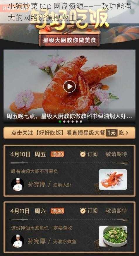 小狗炒菜 top 网盘资源——一款功能强大的网络资源搜索工具