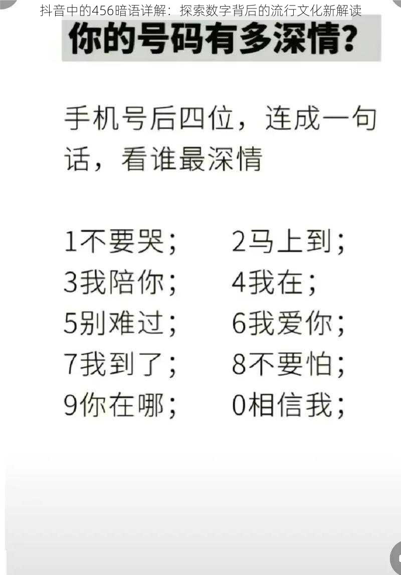 抖音中的456暗语详解：探索数字背后的流行文化新解读