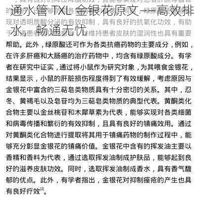 通水管 TXL 金银花原文——高效排水，畅通无忧