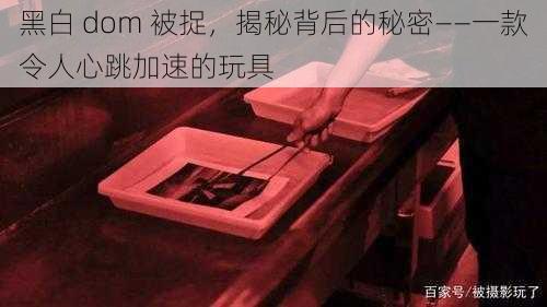 黑白 dom 被捉，揭秘背后的秘密——一款令人心跳加速的玩具