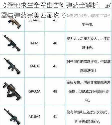 《绝地求生全军出击》弹药全解析：武器与弹药完美匹配攻略