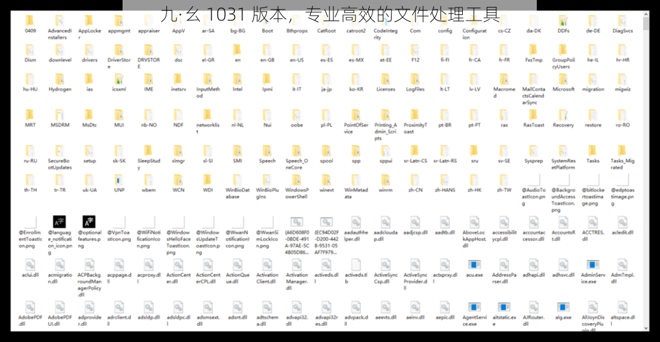 九·幺 1031 版本，专业高效的文件处理工具
