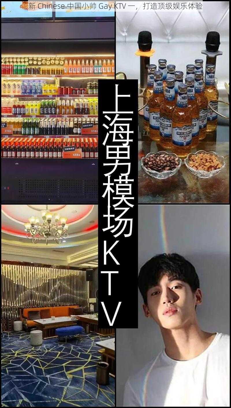 新 Chinese 中国小帅 Gay KTV 一，打造顶级娱乐体验