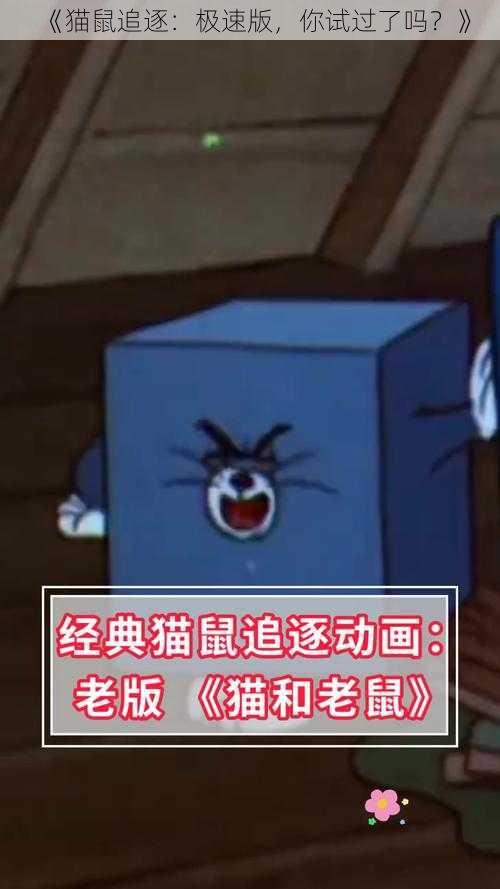 《猫鼠追逐：极速版，你试过了吗？》