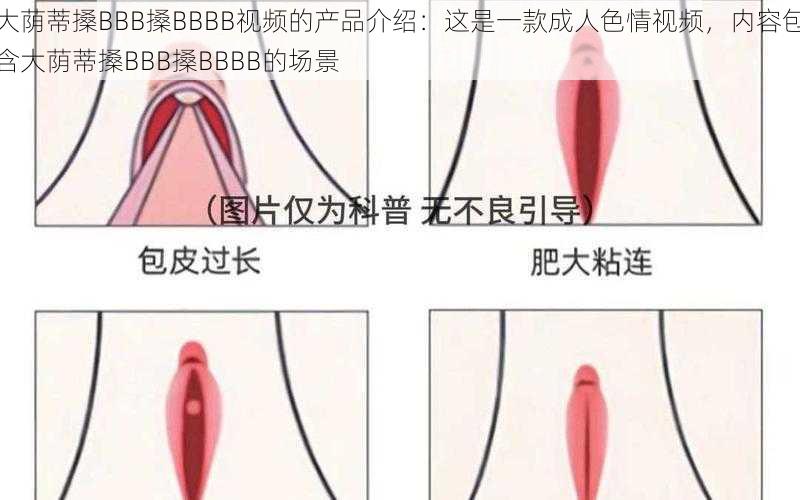 大荫蒂搡BBB搡BBBB视频的产品介绍：这是一款成人色情视频，内容包含大荫蒂搡BBB搡BBBB的场景