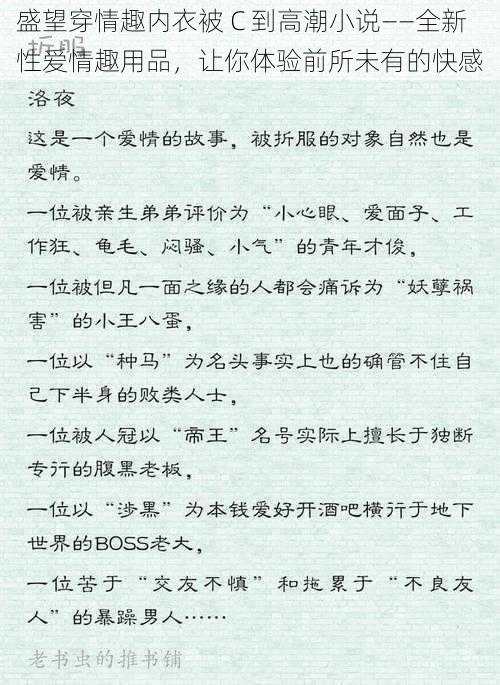 盛望穿情趣内衣被 C 到高潮小说——全新性爱情趣用品，让你体验前所未有的快感