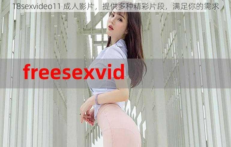 18sexvideo11 成人影片，提供多种精彩片段，满足你的需求