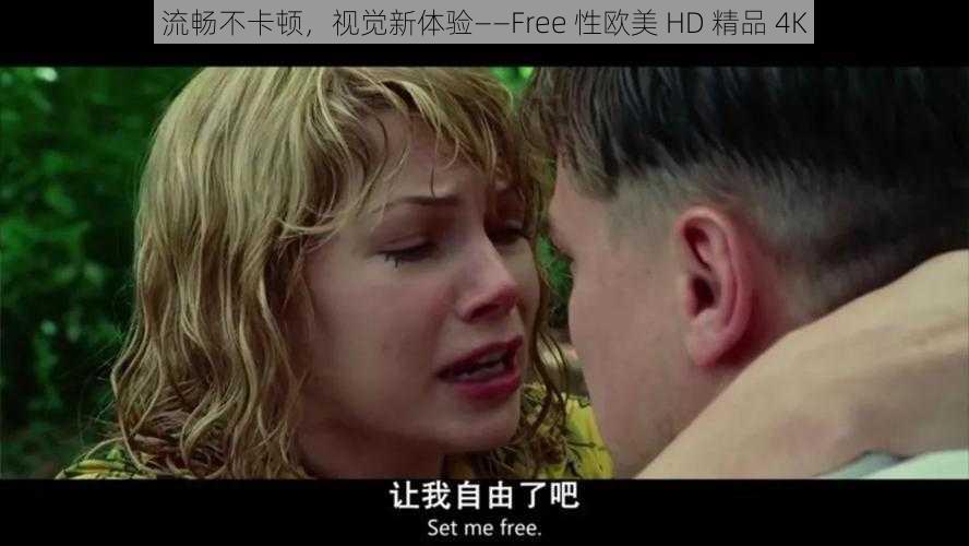 流畅不卡顿，视觉新体验——Free 性欧美 HD 精品 4K