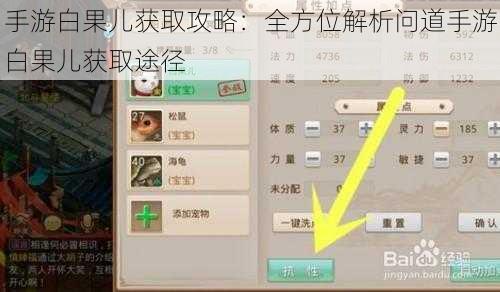 手游白果儿获取攻略：全方位解析问道手游白果儿获取途径
