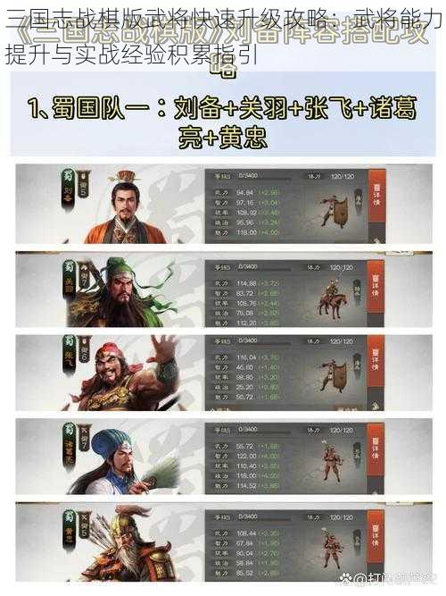 三国志战棋版武将快速升级攻略：武将能力提升与实战经验积累指引